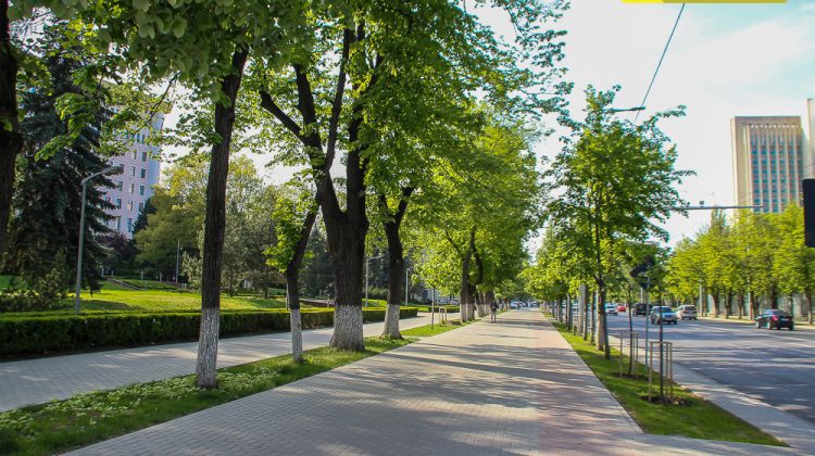 Săptămâna aceasta vremea se va încălzi ușor și va ploua doar în partea de nord a țării. Temperaturile pentru următoarele 7 zile