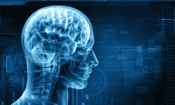 Starea creierului a tinerilor de azi s-a înrăutățit de două ori în 10 ani. Nimeni nu înțelege de ce