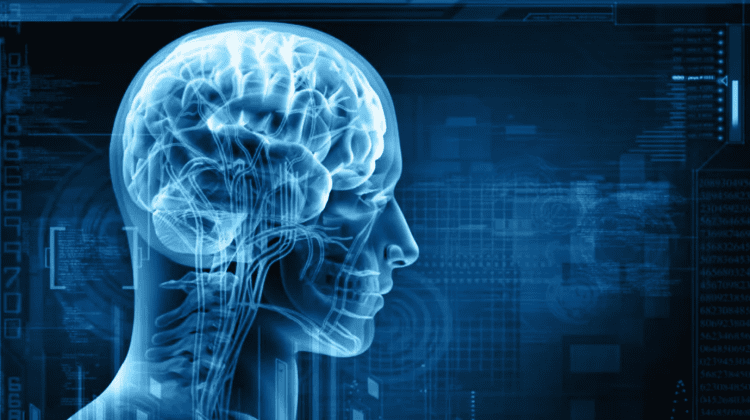 Starea creierului a tinerilor de azi s-a înrăutățit de două ori în 10 ani. Nimeni nu înțelege de ce