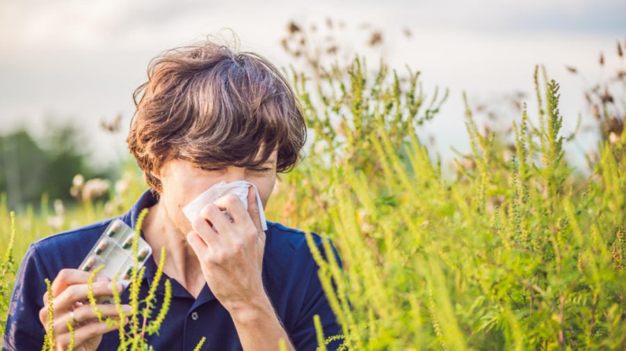 Ambrozia face deja „ravagii”. Cu ce recomandări vine Ministerul Sănătății