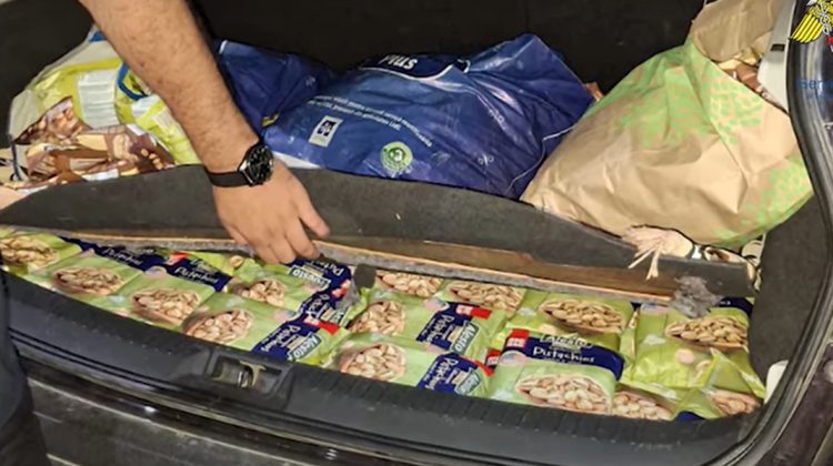 Contrabandă cu fistic și arahide, descoperită la Vama Cahul