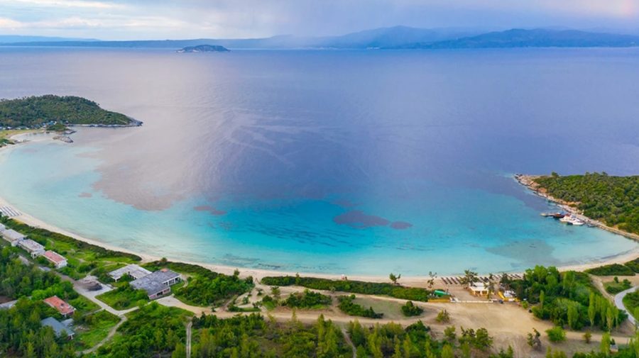 Alertă în Halkidiki: o fetiţă de cinci ani a fost atacată de un lup pe o plajă