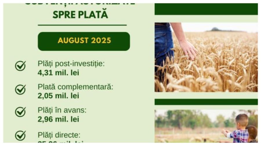 Fermierii din Moldova au primit subvenții de peste 51 milioane de lei în august. Cine a luat cei mai mulți bani