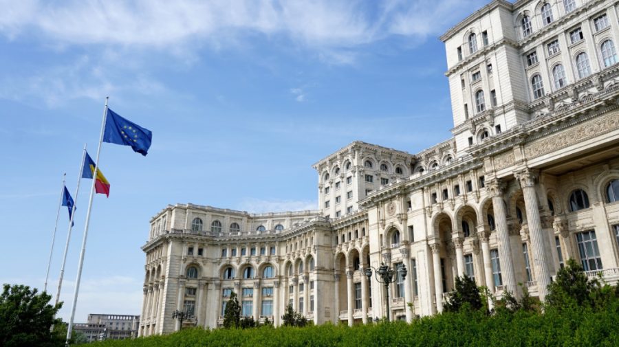 Noi detalii despre moldoveanca care intenționa să intre în Parlamentul României cu șase cuțite