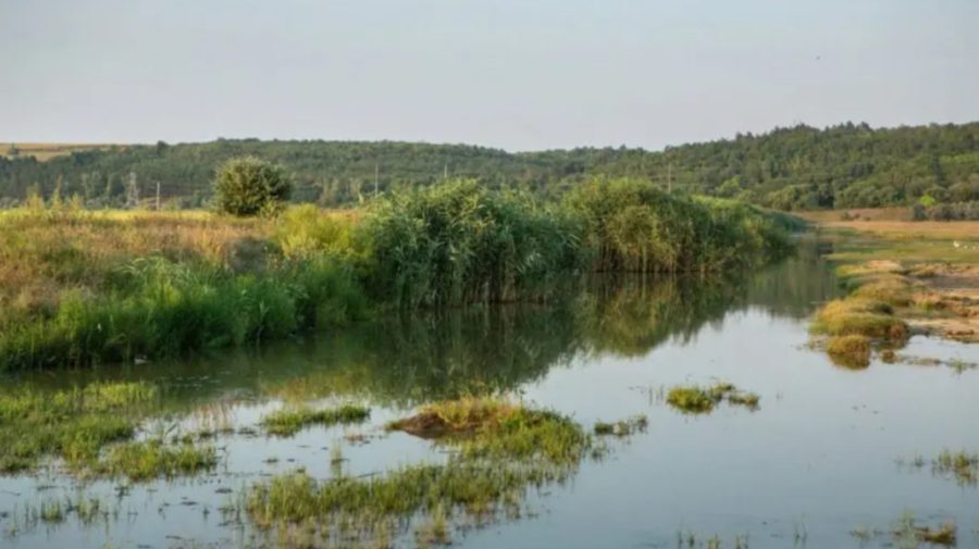 Apa din râurile Moldovei continuă să scadă. SHS a emis trei coduri: roșu, portocaliu și galben