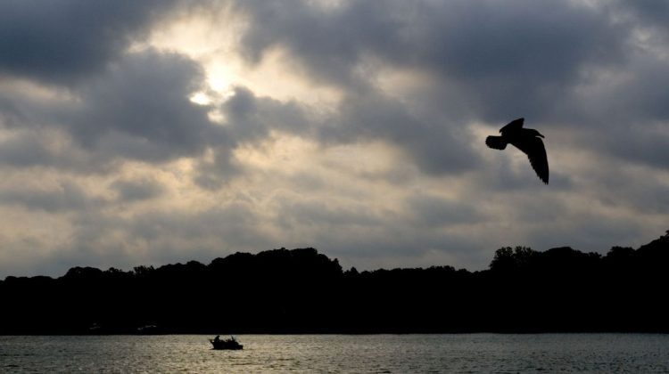 Cer variabil, fără precipitații. Câte grade vor fi?