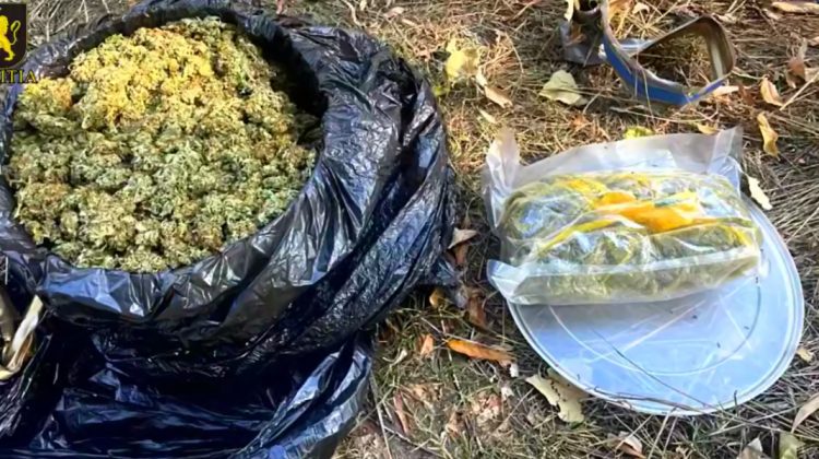 Reținut cu sacoșa plină de droguri! Poliția a destructurat o rețea de marijuana pe Telegram