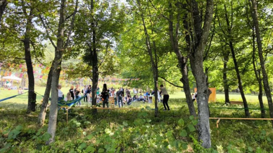 Bilet simbolic de 100 de lei pentru salvarea naturii, la Festivalul Pădurilor