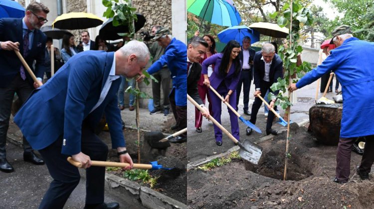 Ambasadorul României a plantat un lăstar din teiul lui Mihai Eminescu la Chișinău