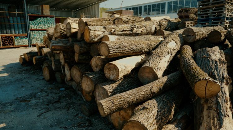 Cărbunele și lemnele de foc s-au scumpit în 2025