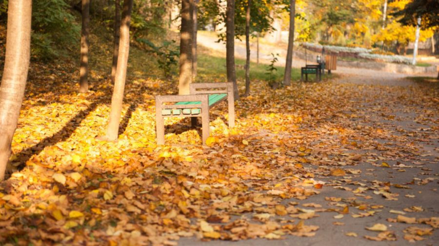 Toamna se face simțită mai târziu. Urmează zile cu temperaturi de vară