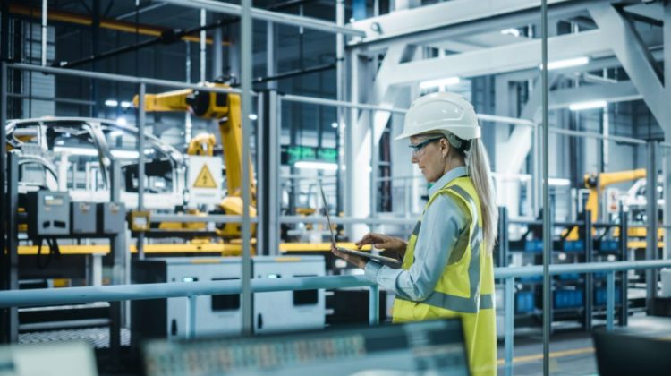 Republica Moldova cucerește piața Uniunii Europene cu plasă din fibră de sticlă