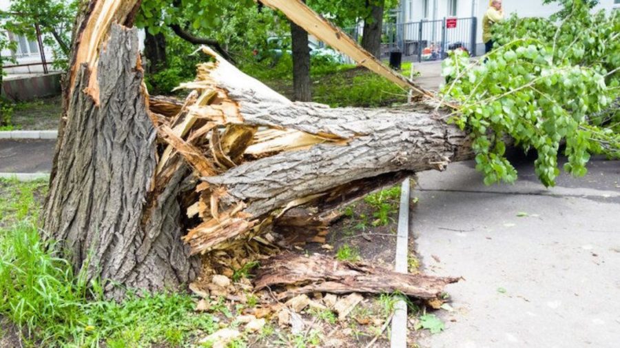 Furtuna Zack lovește Europa Centrală și de Vest. Republica Moldova – printre țările afectate?