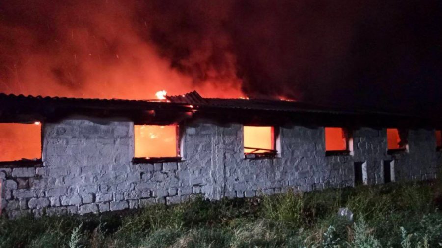 FOTO Incendiu puternic într-o gospodărie din Rîșcani: 300 de animale au fost salvate de pompieri