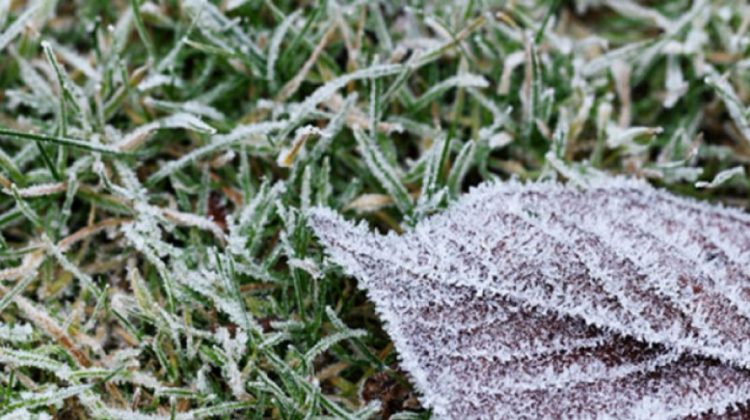 Meteorologii au emis o nouă avertizare: Cod galben de înghețuri pe întreg teritoriul Moldovei