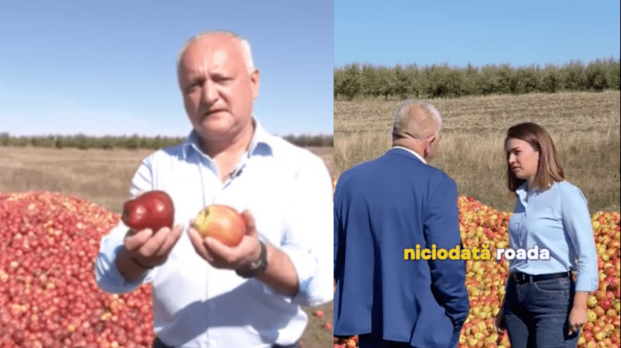 Merele discordiei între Dodon și Catlabuga. Socialistul – acuzat de fake news, după ce ar fi intrat fără voie în livadă