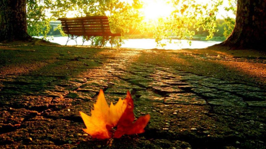 Ceață matinală și cer senin pe 23 septembrie: Maxime de până la 28 de grade