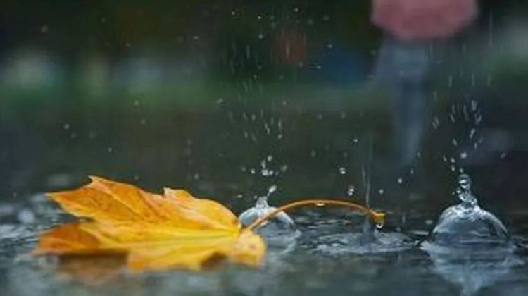 Se așteaptă ploi torențiale în Republica Moldova. Meteorologii au emis cod galben