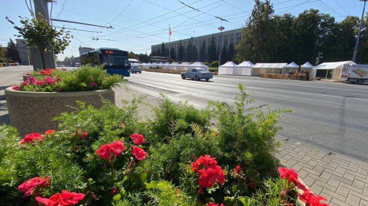 Restricții de circulație în centrul Chișinăului de Ziua Națională a Vinului. Cum va circula transportul public