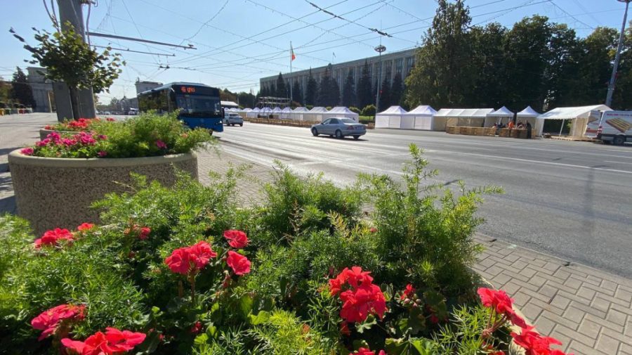 Restricții de circulație în centrul Chișinăului de Ziua Națională a Vinului. Cum va circula transportul public