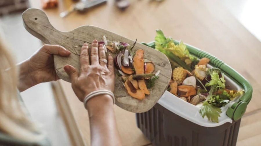 O treime din mâncarea produsă ajunge la gunoi. În Moldova, fiecare locuitor aruncă circa 75 kg anual