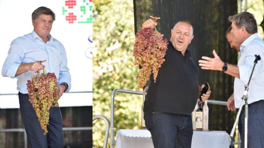 Vedeta Festivalului Strugurelui de la Cimișlia a fost cea din imagine – aflați cu cât s-a vândut