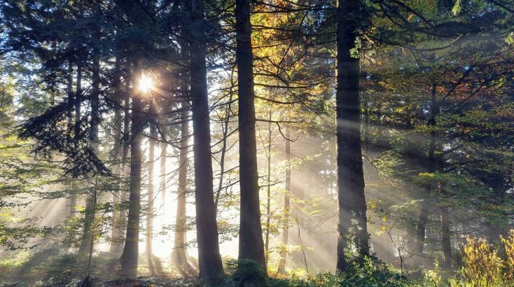 Cum va fi vremea în Moldova în acest weekend