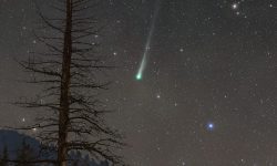 Cea mai strălucitoare cometă a anului a fost vizibilă pe cerul nopții: Lemmon revine abia în mileniul următor