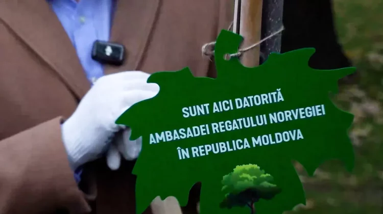 NO COMMENT | AMBASADORII ÎNFRUMUSEȚEAZĂ SCUARUL CATEDRALEI