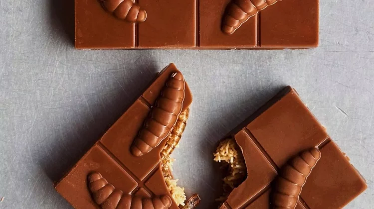 Ciocolată cu viermi, noul desert bizar în magazinele din Ucraina. Cât costă?