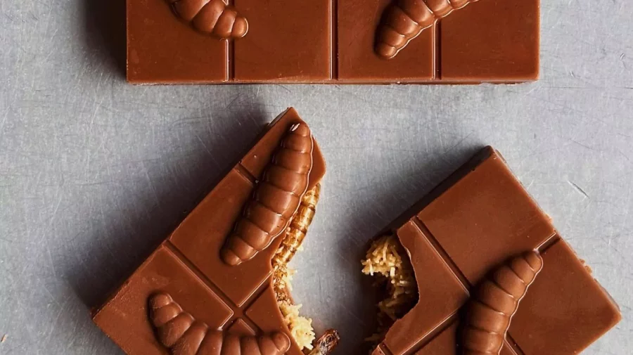 Ciocolată cu viermi, noul desert bizar în magazinele din Ucraina. Cât costă?