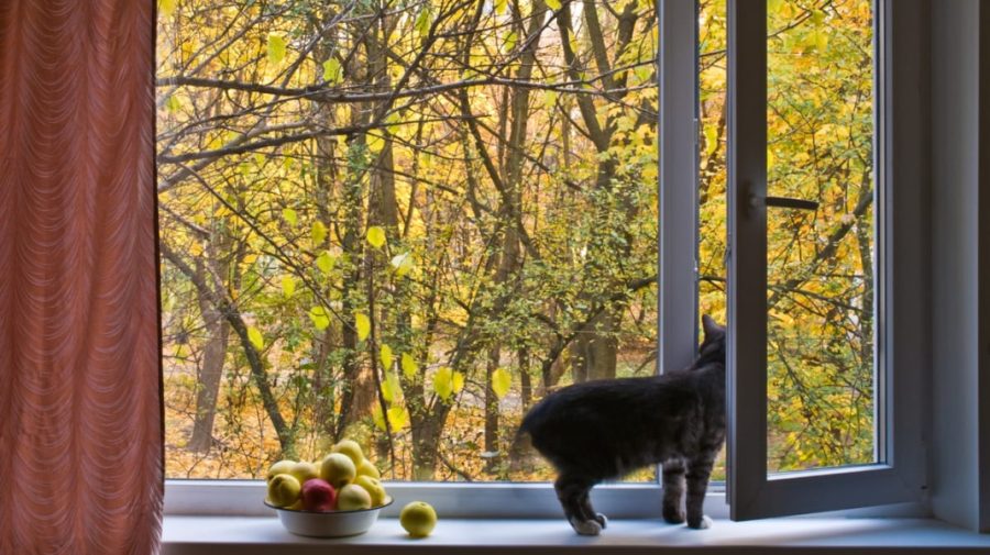 Pornim căldura în octombrie? Află cum va fi vremea luna aceasta