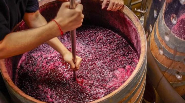 Perioada fermentării vinului aduce riscuri de intoxicație. Recomandări