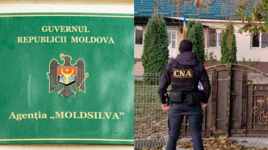 Reacția „Moldsilva” la perchezițiile CNA de la ocolul silvic din Hîncești