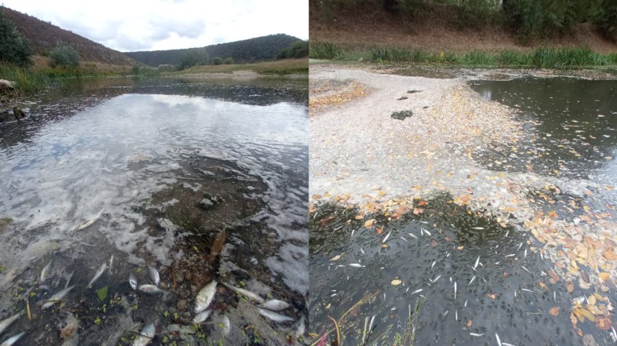 Concluziile probelor de apă: Răutul, poluat cu mase fecale