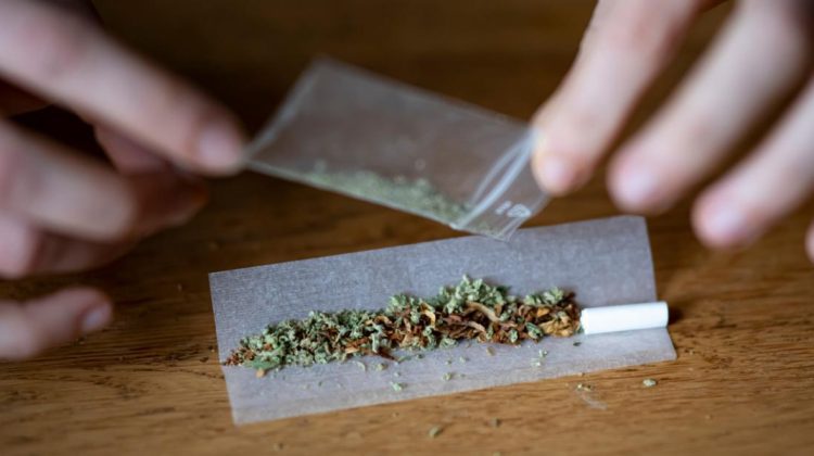 VIDEO Șefa MAI, despre drogurile din școli: Orice caz sesizat este investigat corespunzător de poliție