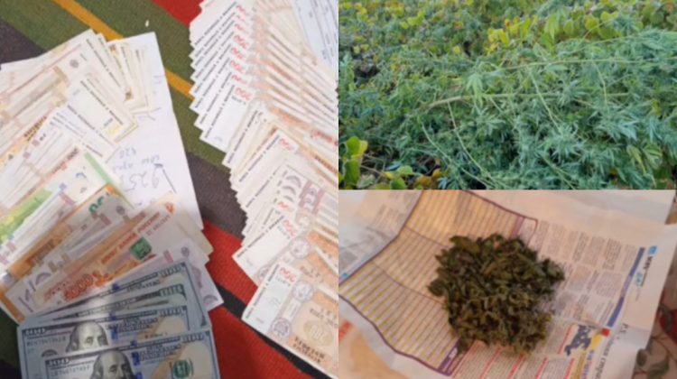 Doi bărbați, suspectați de distribuirea drogurilor, s-au trezit cu polițiștii la poartă. Ce pedeapsă riscă