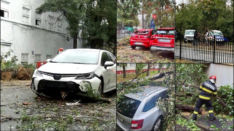 Furtuna a făcut ravagii în România. Copaci doborâţi, maşini distruse și răniți