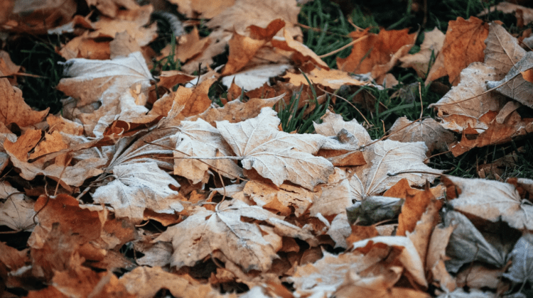 Cod Galben de îngheţ pe întreg teritoriul Republicii Moldova. Câte grade vor fi