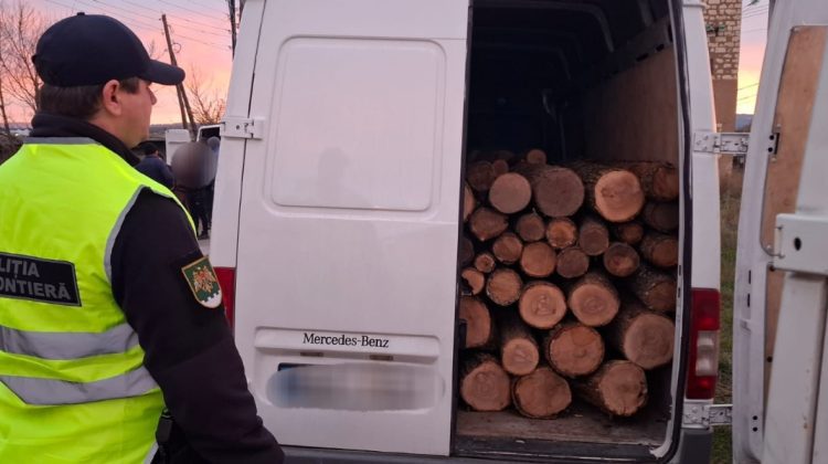 A crezut că va trece neobservat, dar nu a fost să fie. Un bărbat a fost prins transportând lemne ilegal
