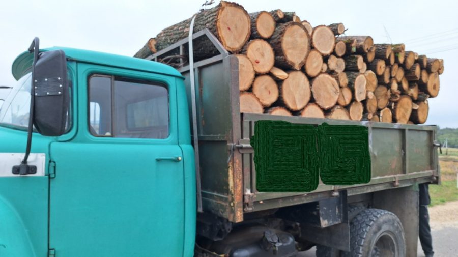 Peste 17 mii de lei amenzi, după ce mai mulți șoferi au fost prinși cu lemn furat