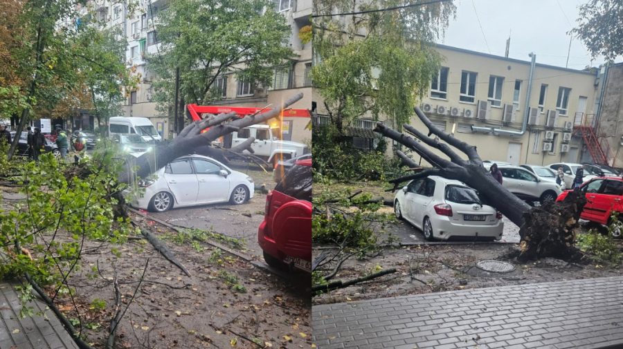 VIDEO Ploile au pus stăpânire pe Capitală. Un copac a căzut peste o mașină