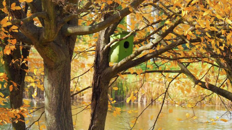 Meteo: Temperaturi scăzute și cer variabil în prima zi a săptămânii