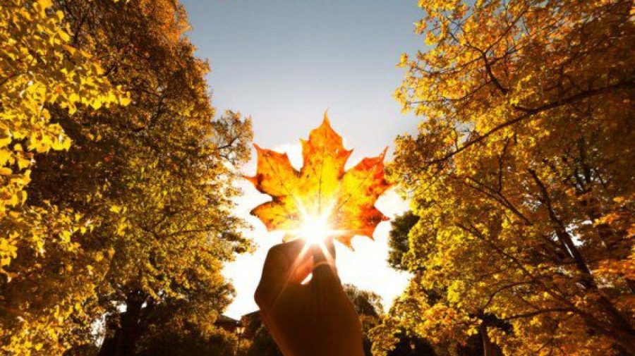 Se prevede o zi însorită și caldă. Temperaturile prognozate pentru astăzi, 23 octombrie