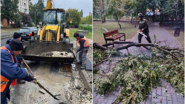 FOTO Consecințele ploii în Chișinău: Copaci doborâți și crengi rupte. Intervențiile salvatorilor