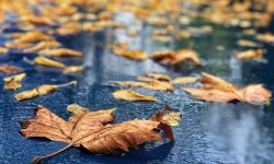 Marți va ploua puternic în toată Moldova: Ce temperaturi vor indica termometrele