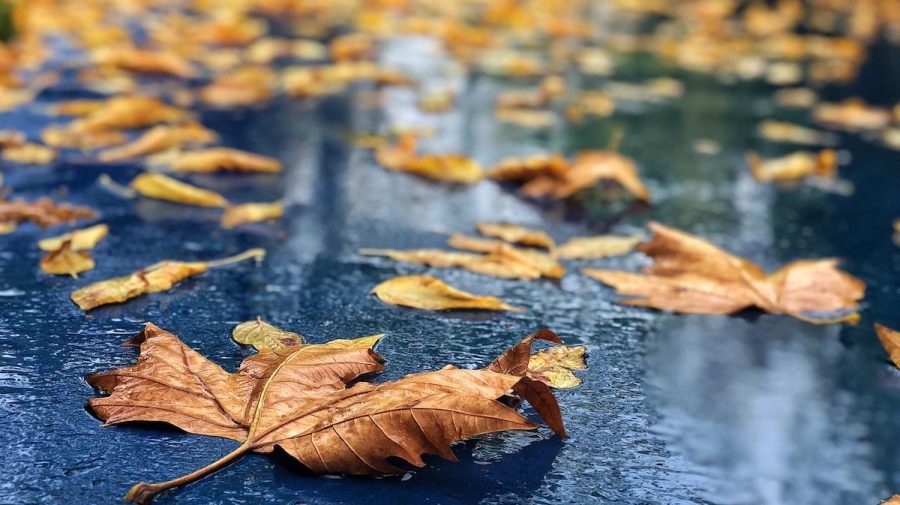 Marți va ploua puternic în toată Moldova: Ce temperaturi vor indica termometrele