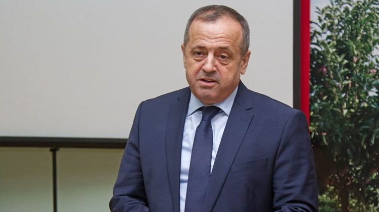 Rozenberg: Volumul de gaz consumat trebuie monitorizat. Tiraspolul distribuie lemne populației vulnerabile