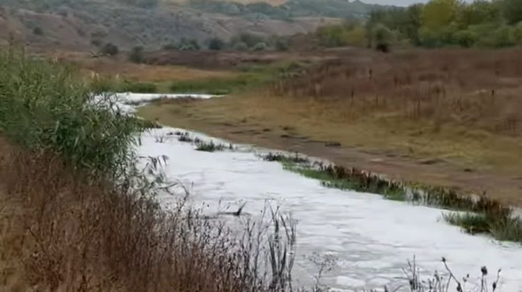 Poluare pe râul Răut? Inspectoratul de Mediu analizează spuma suspectă formată după ploi