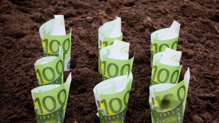 Subvenții pentru investiții în agricultură. AIPA lansează un nou apel de finanțare